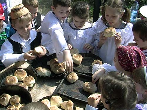 Muzeul Satului